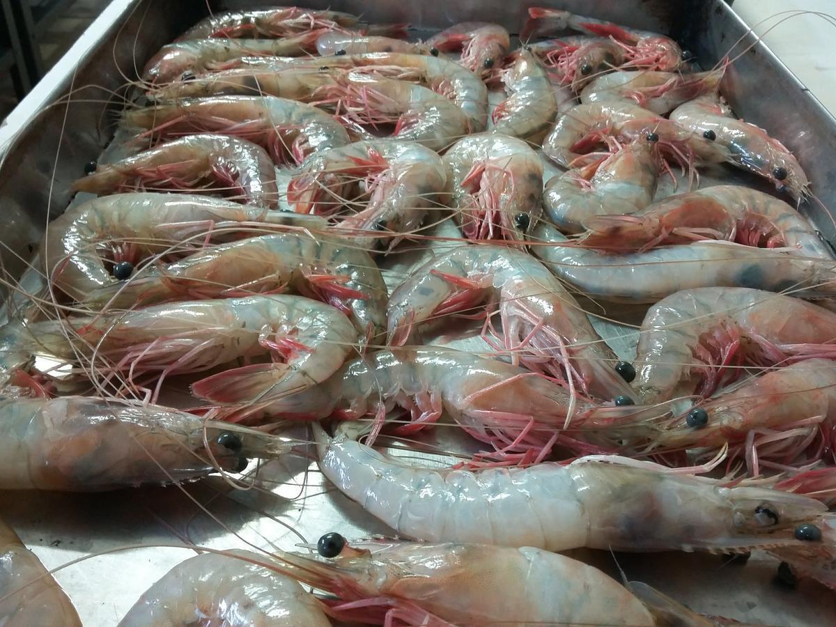 Pousada Chef Brasil Barra Velha  Exterior photo